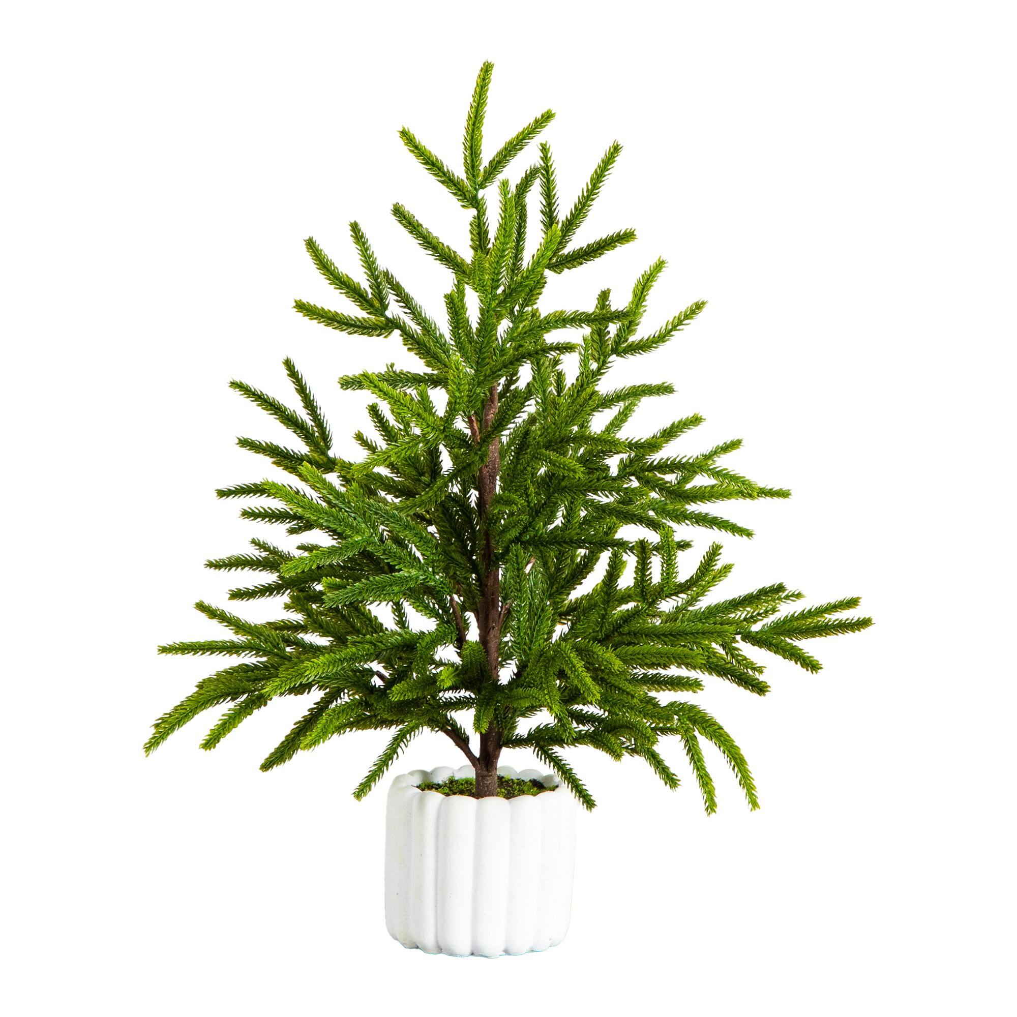 22" Unlit Real Touch Norfolk Island Pine Artificial Christmas Tree in White Decorative Planter